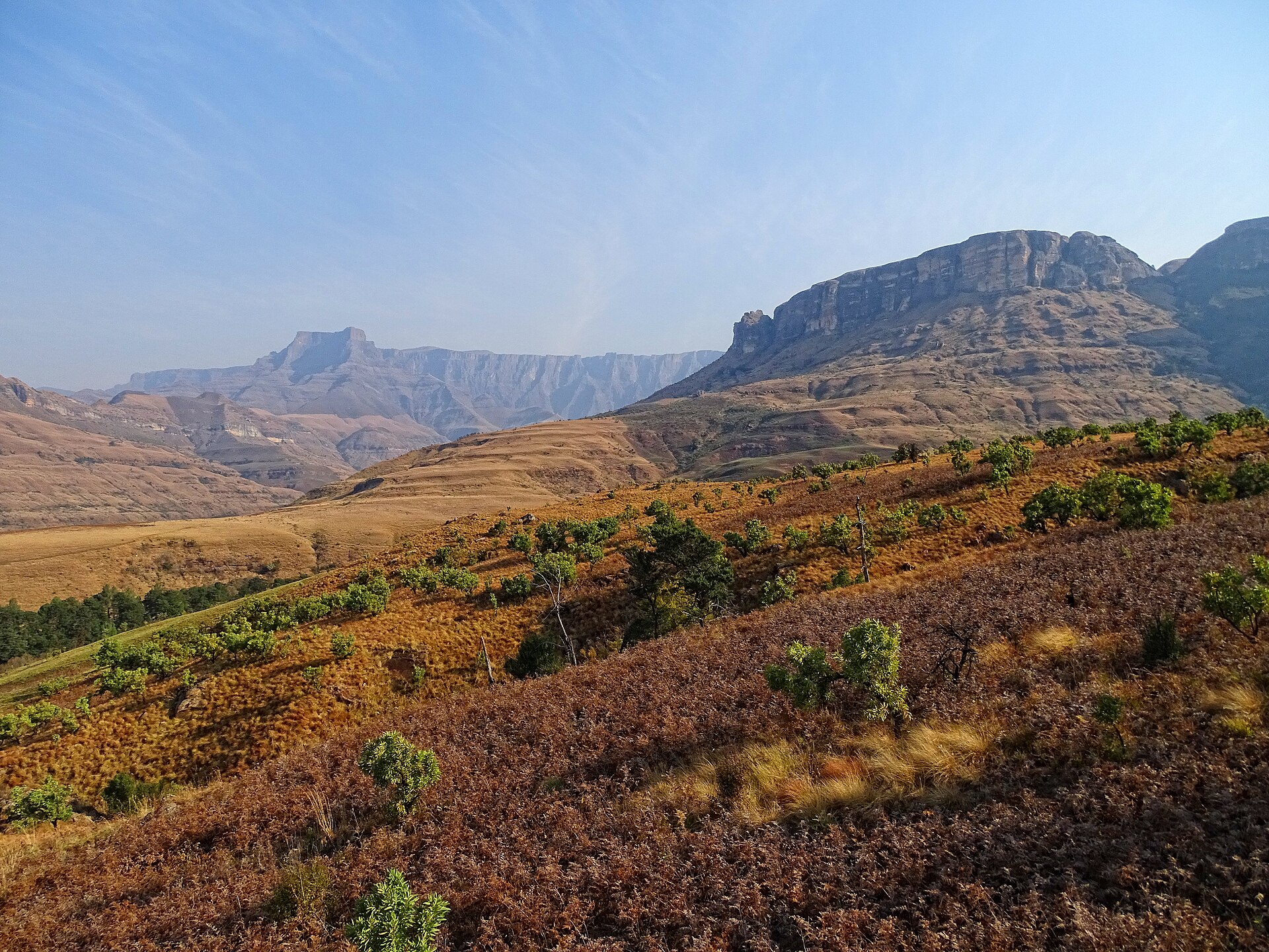 Rolling grasslands of the Royal Natal foothills