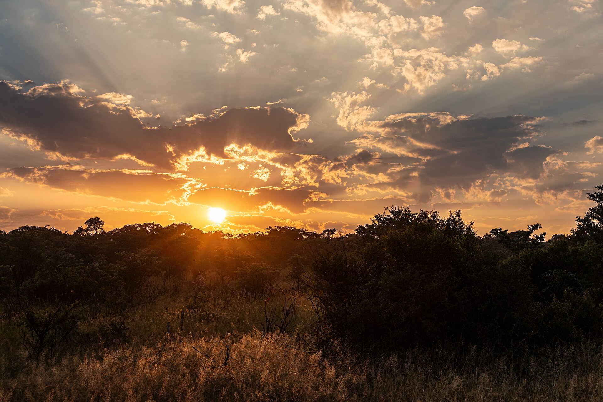 A bushveld sunset in the Kruger
