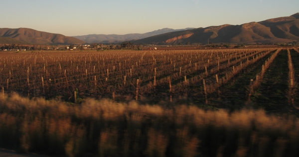Along the scenic Garden Route