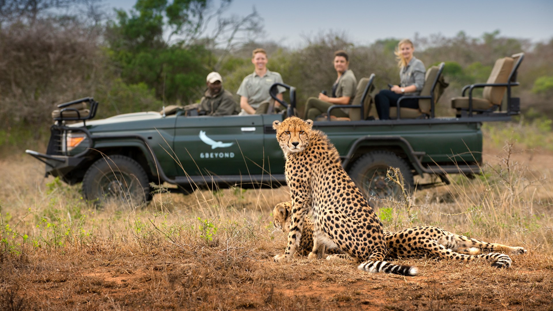 Safari at Phinda Private Game Reserve