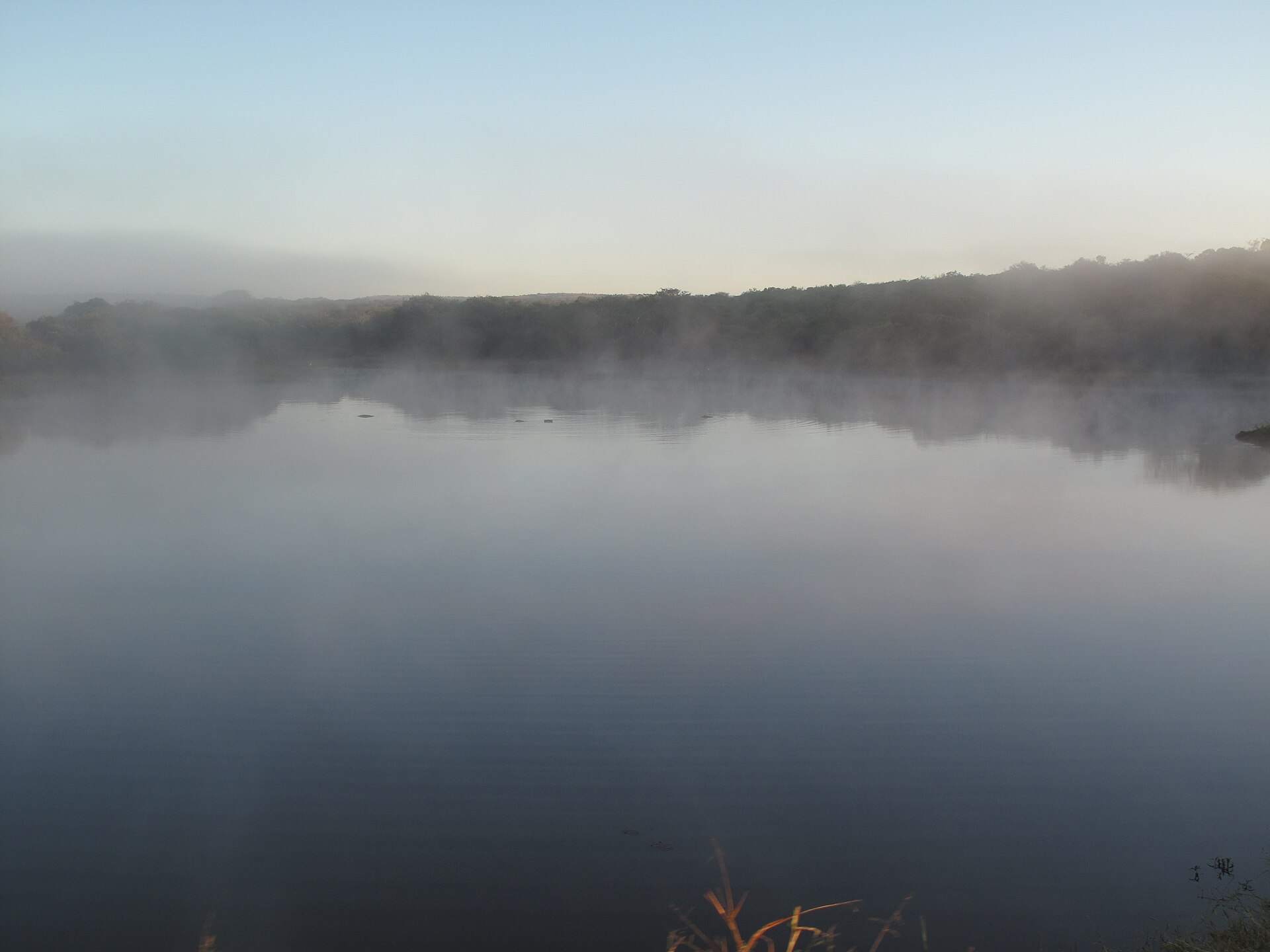 The wetlands and bush of Phinda