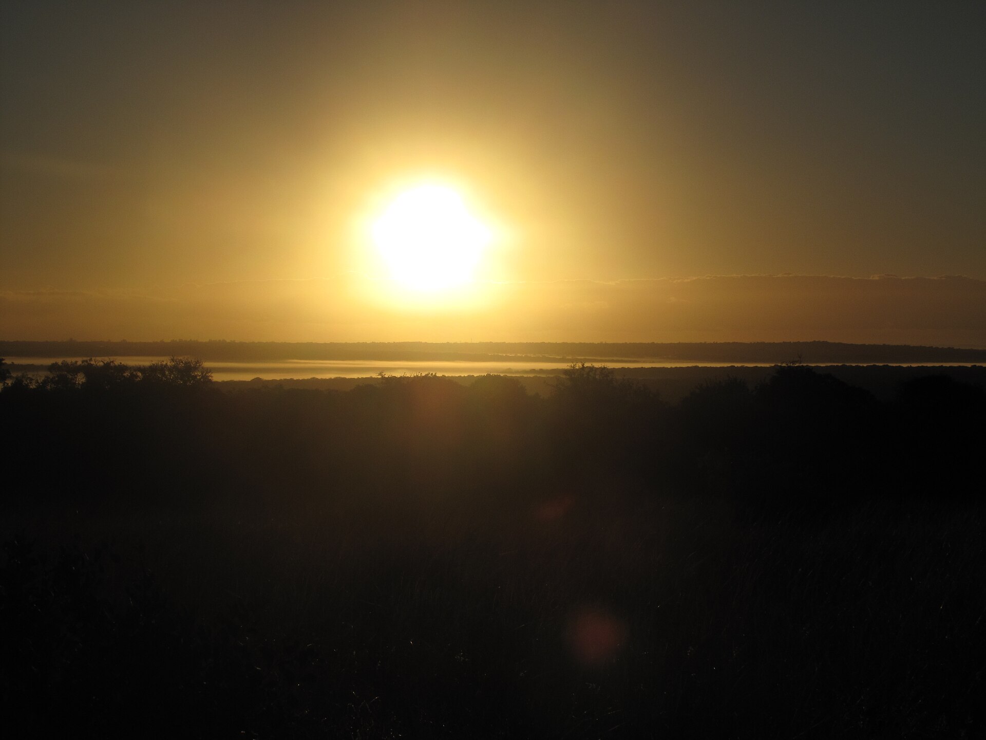 Safari at Phinda Private Game Reserve