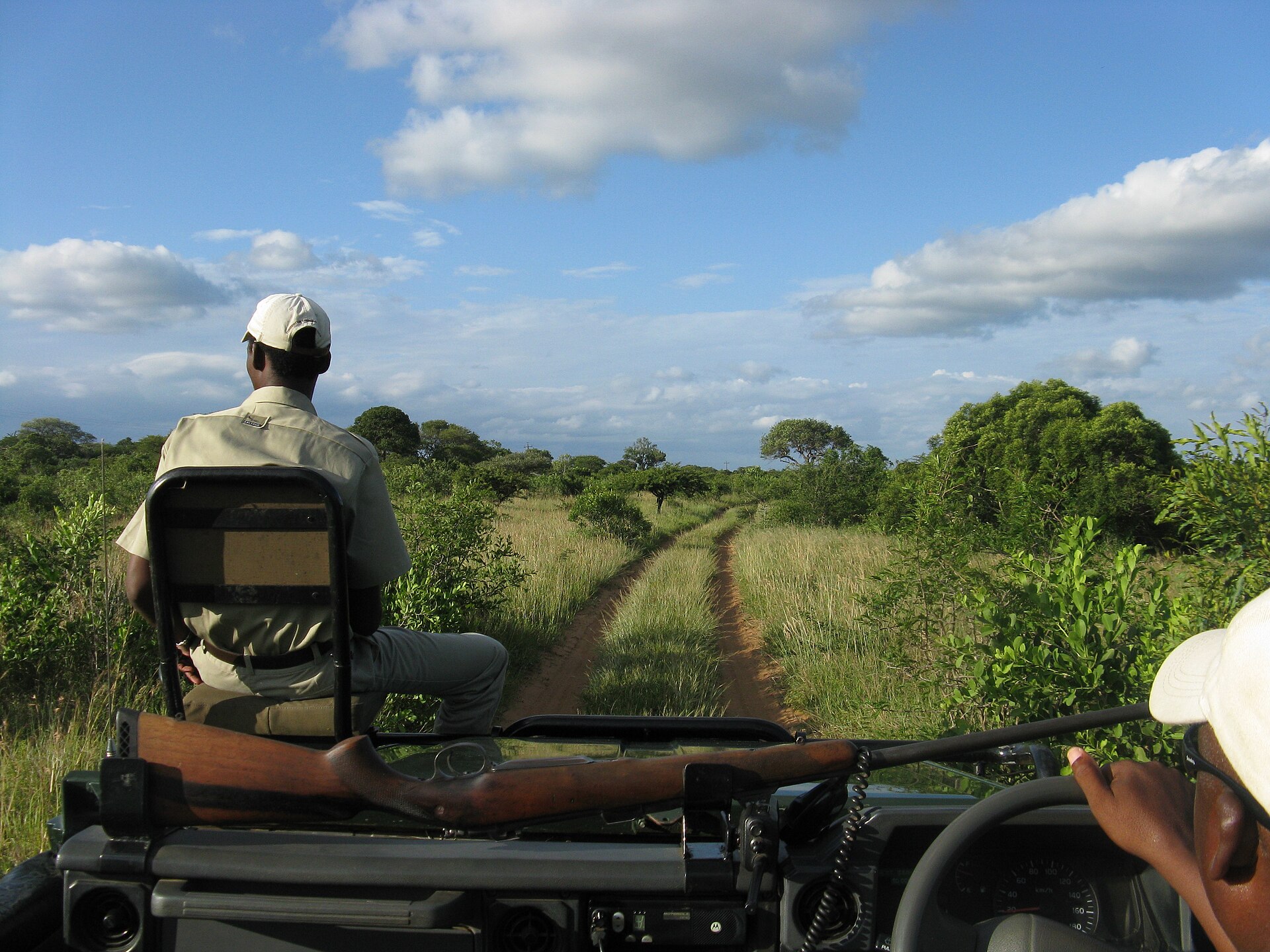 Game drives across Phinda's wild landscapes