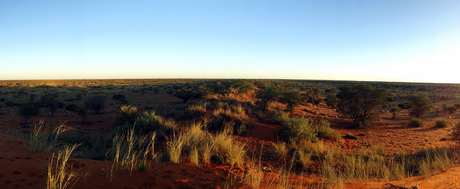 Tswalu Kalahari Reserve