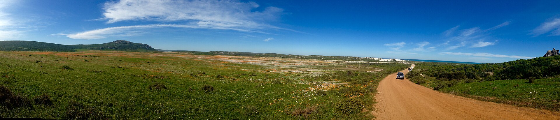 West Coast National Park in spring bloom