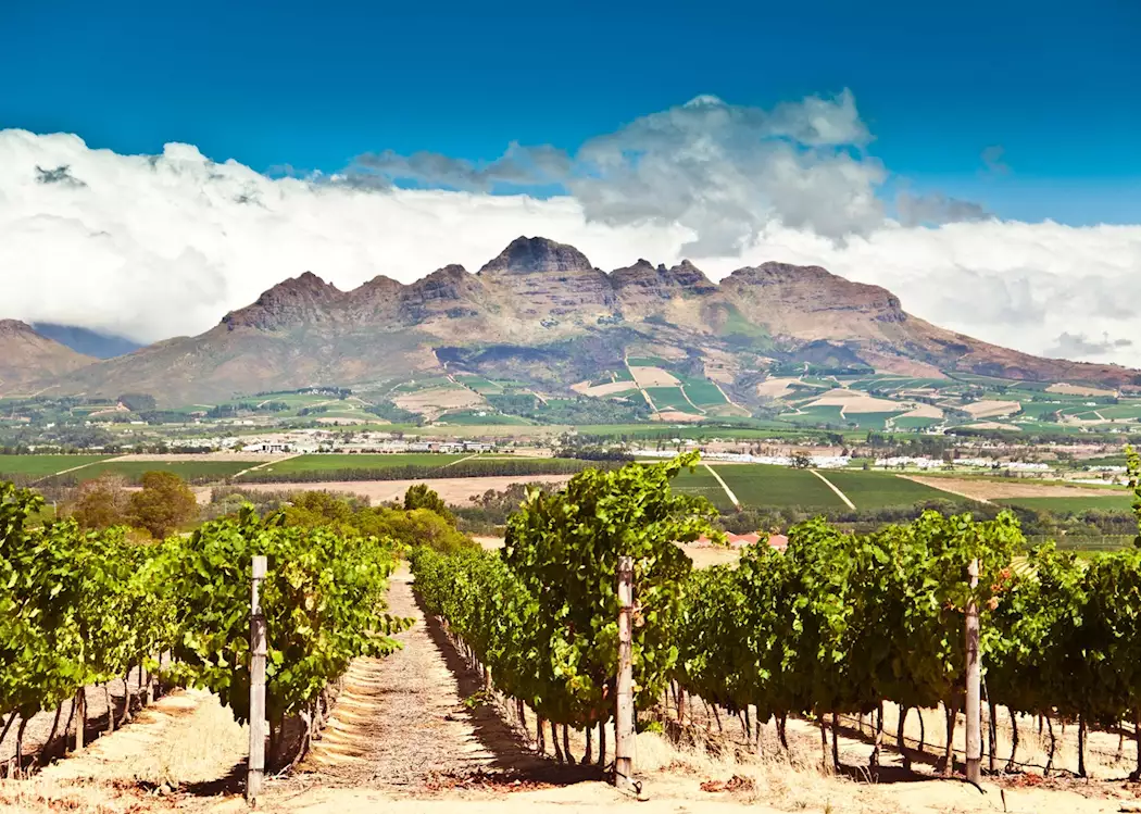 Half Day Wineland Tour