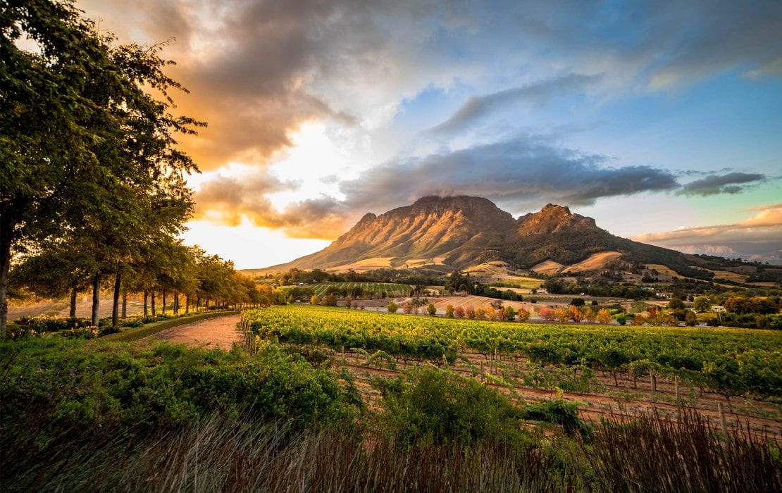 Wine estates around Stellenbosch and Franschhoek