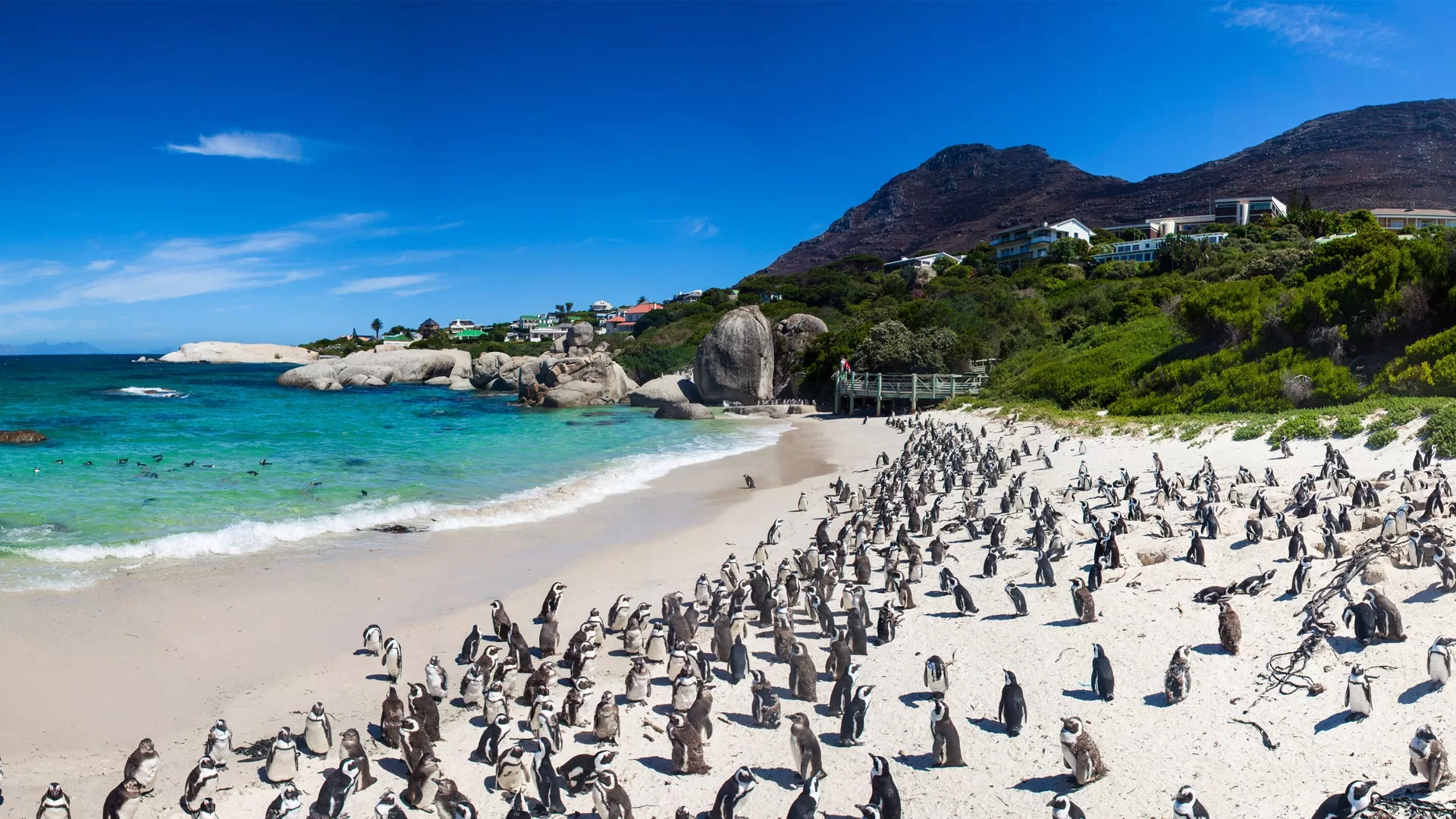 Cape Point and the Cape of Good Hope