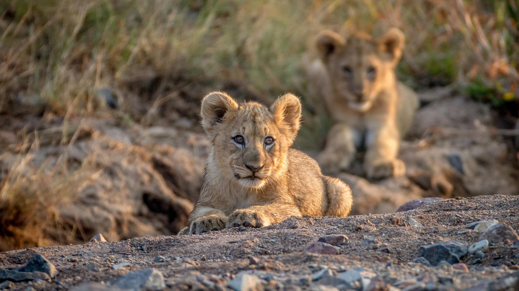 Pilanesberg National Park