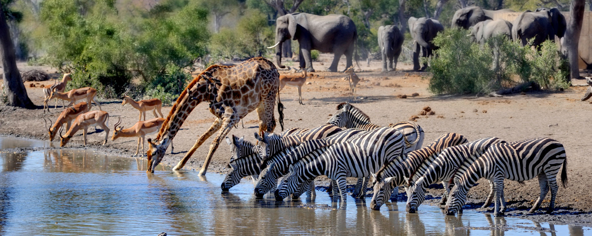 Kruger National Park