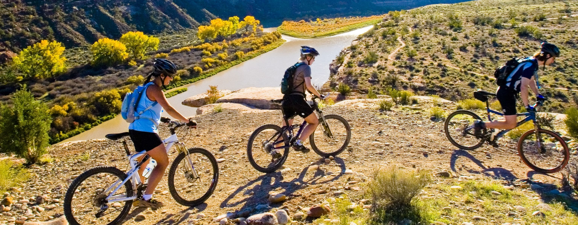E-bike tour through Cape Town