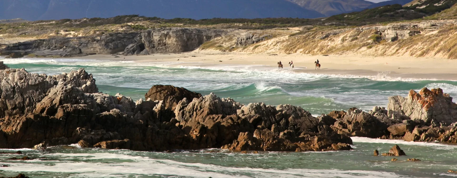 Cage diving off Gansbaai