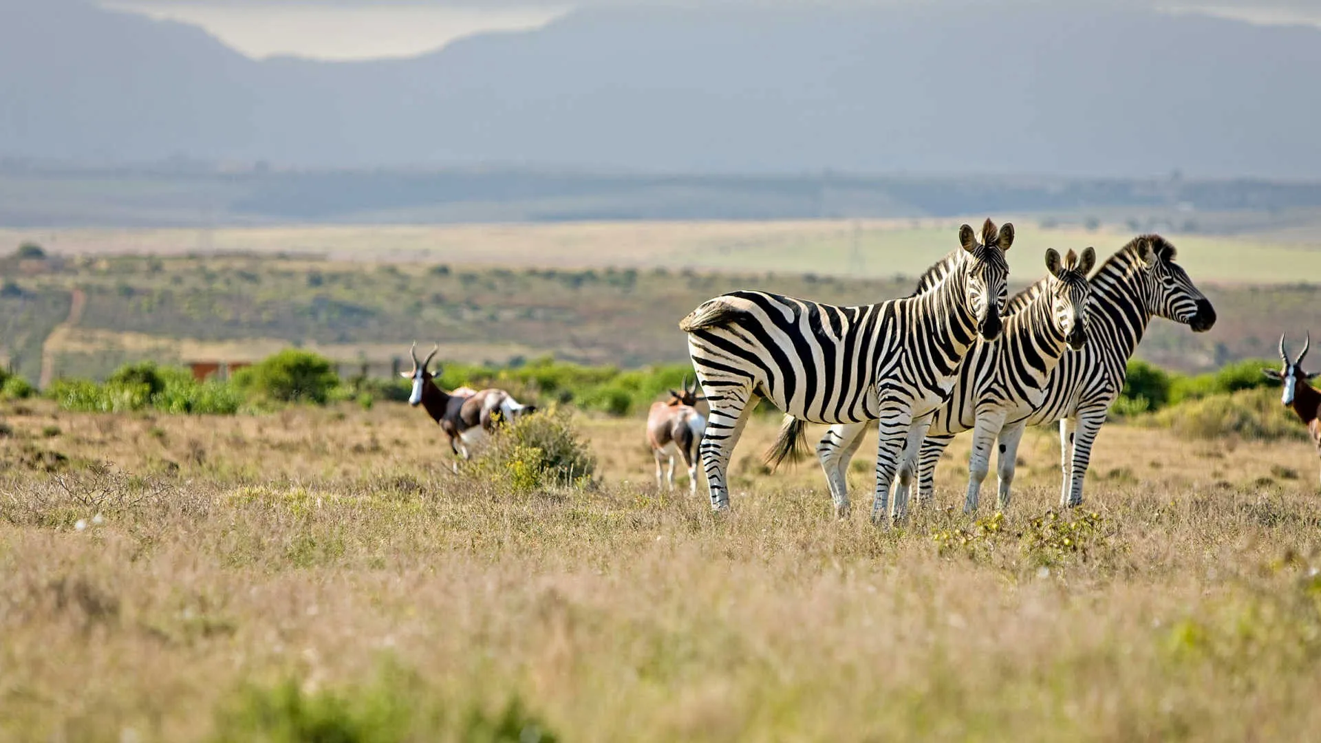 South Africa Tour Operators