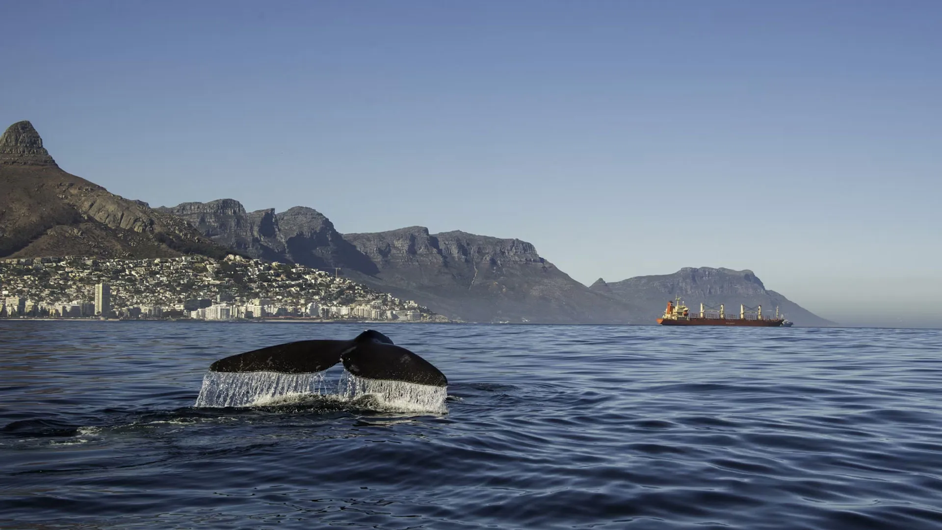 When Is The Best Time To Visit Cape Town