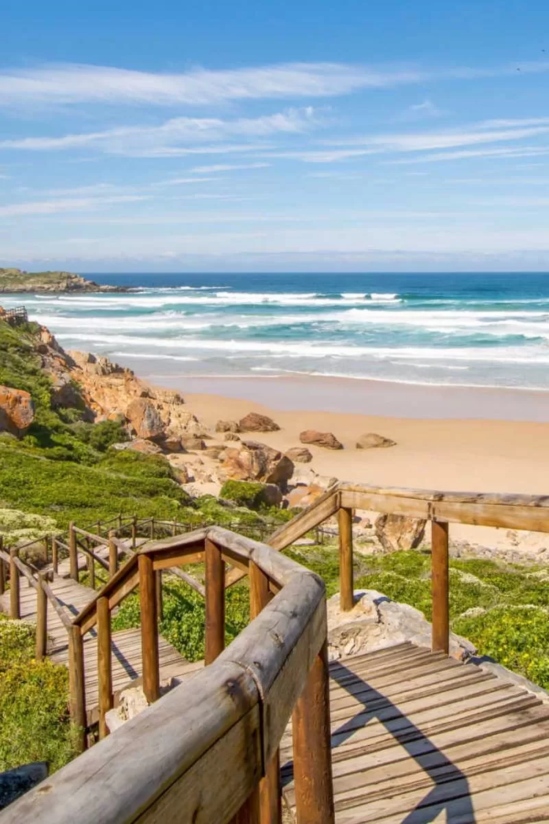 Garden Route Tour