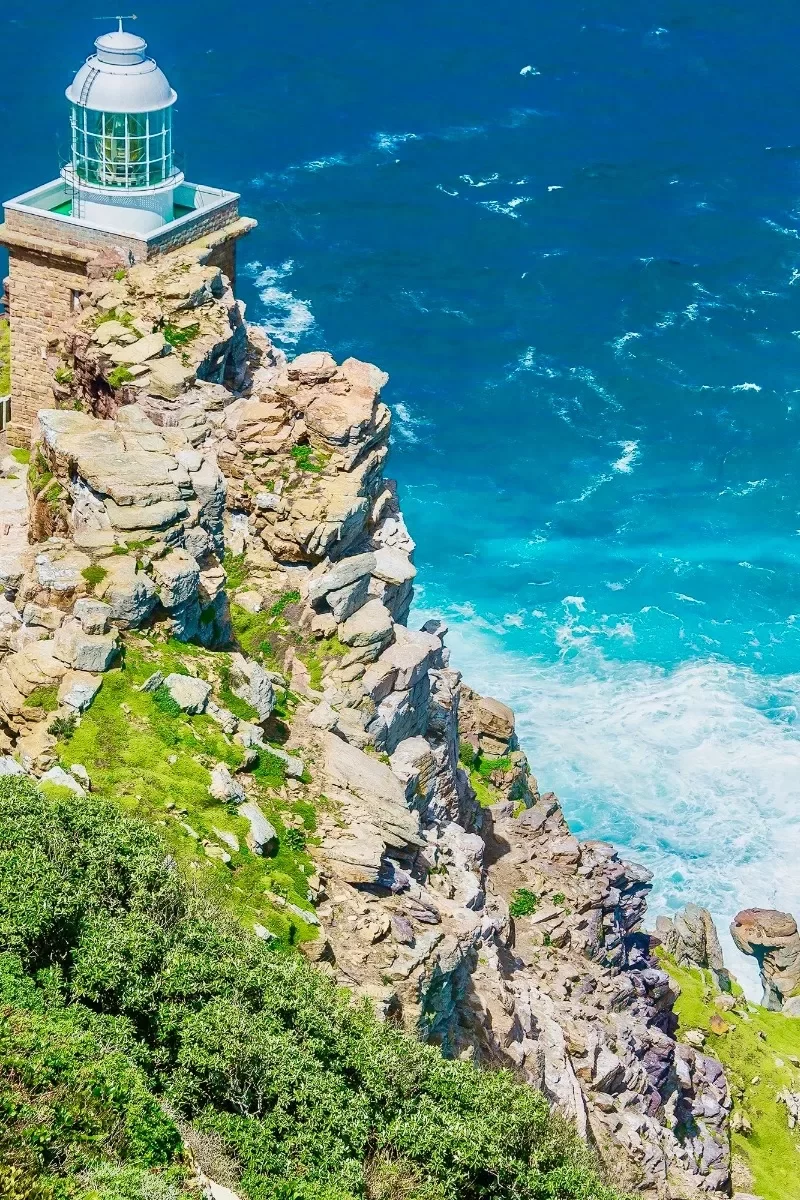 Cape Peninsula Tour