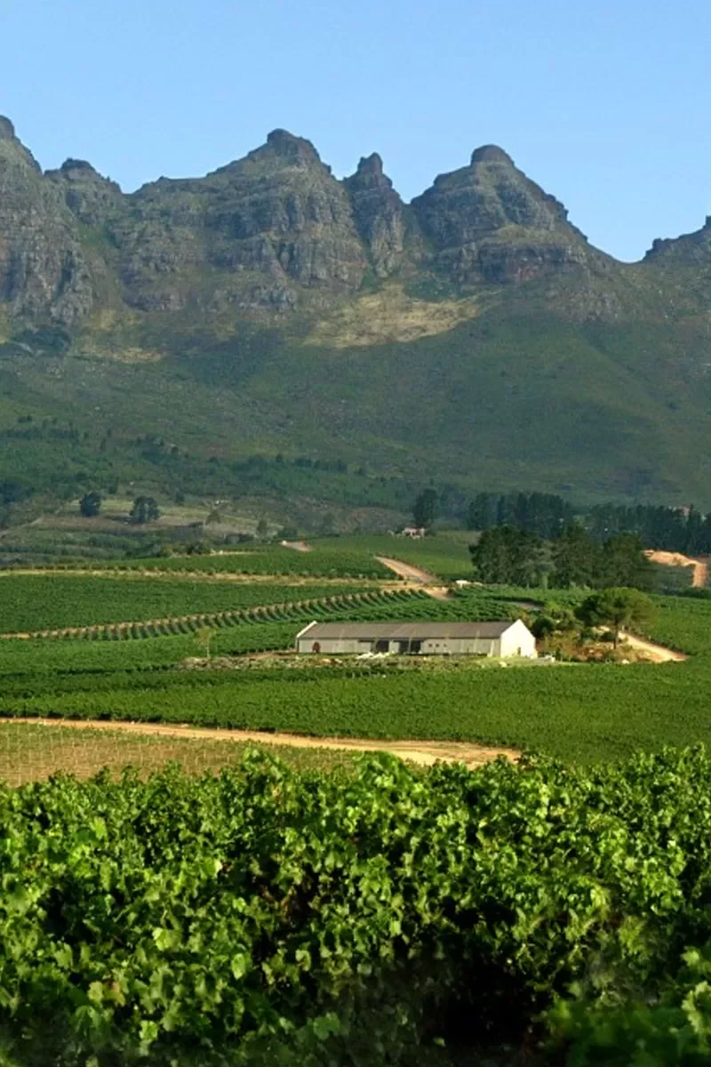 Cape Stellenbosch Winelands Tour- Paarl & Franschhoek
