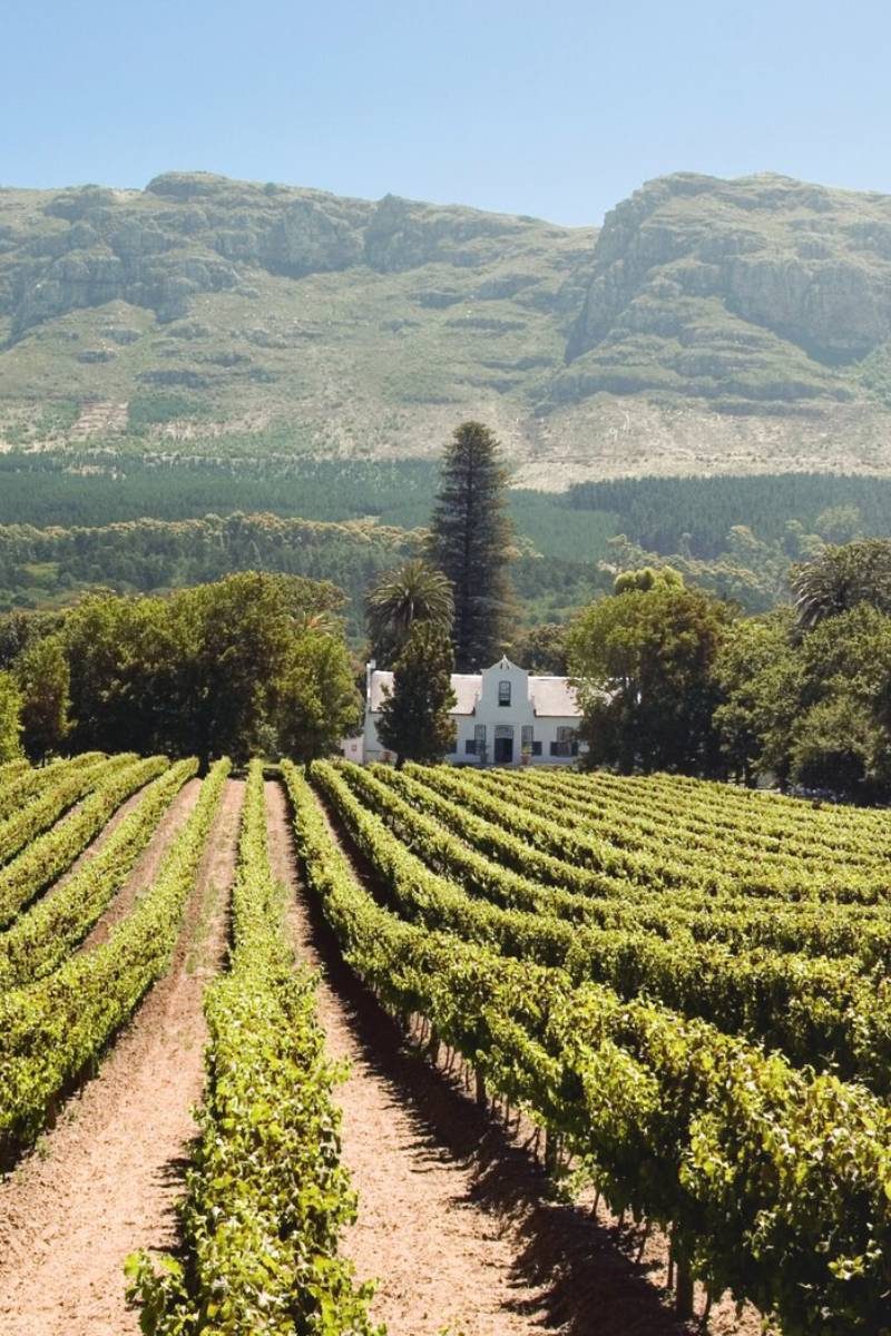 Halfday Stellenbosch Wine Tour