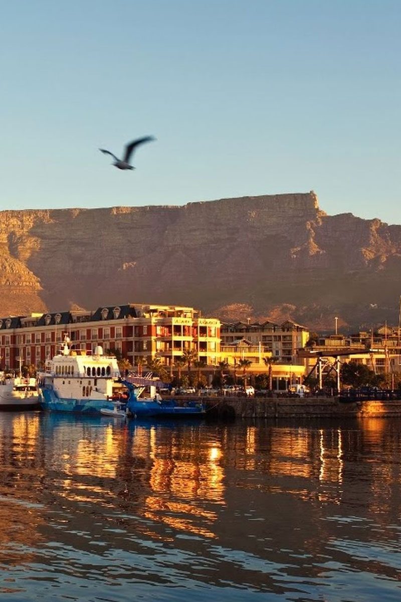 Half Day Cape Town City & Table Mountain (Morning or Afternoon)